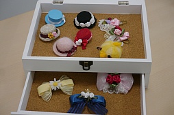 ꡼ No.034 | Livly Island CORפΥե饤󥤥٥ȡDr.ߥ顼ꡡȯɽ2015ۻҤʤinϥפ1025ޤǳ档ǯȯɽ