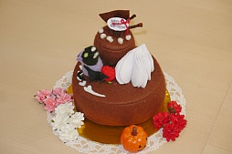 ꡼ No.036 | Livly Island CORפΥե饤󥤥٥ȡDr.ߥ顼ꡡȯɽ2015ۻҤʤinϥפ1025ޤǳ档ǯȯɽ