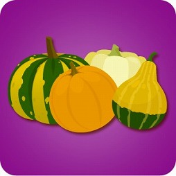 ꡼ No.015 | Livly Island CORסѡ⤬ϥ쿧ˡָꥤ٥Ȥʤɤ򳫺