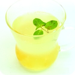 ꡼ No.010 | Livly island CORפĥѥѥ륳ŹȤΥܤ2017ǯ13˼»