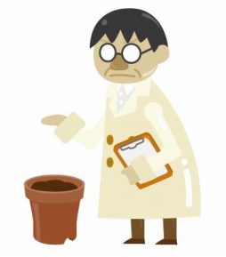 ꡼ No.004 |  Livly Island COR׸泫ȯ꡼K祤٥Ȥ