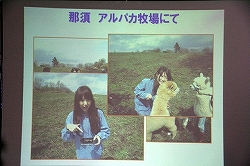 画像集#014のサムネイル/那須アルパカ牧場のコスチュームに身を包んだ“ひつじ隊”が，PSP「ようこそ ひつじ村 ポータブル」をアピール！