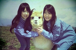 画像集#016のサムネイル/那須アルパカ牧場のコスチュームに身を包んだ“ひつじ隊”が,PSP「ようこそ ひつじ村 ポータブル」をアピール!