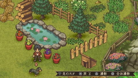 画像集 003 気軽に記念撮影ができる まきば暮らしシミュレーション Psp ようこそ ひつじ