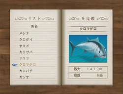 ������#001�Υ���ͥ���/�缫������ǥե��å��󥰤�ǽ���褦�����֥ե��å��奢����Wii�פ�4��30����ȯ�����