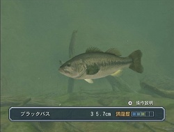 ������#002�Υ���ͥ���/�缫������ǥե��å��󥰤�ǽ���褦�����֥ե��å��奢����Wii�פ�4��30����ȯ�����