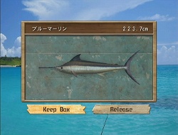 ������#003�Υ���ͥ���/�缫������ǥե��å��󥰤�ǽ���褦�����֥ե��å��奢����Wii�פ�4��30����ȯ�����