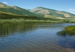 ������#005�Υ���ͥ���/�缫������ǥե��å��󥰤�ǽ���褦�����֥ե��å��奢����Wii�פ�4��30����ȯ�����