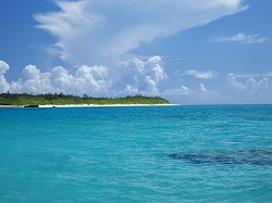 ������#006�Υ���ͥ���/�缫������ǥե��å��󥰤�ǽ���褦�����֥ե��å��奢����Wii�פ�4��30����ȯ�����