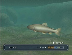 ������#002�Υ���ͥ���/�֥ե��å��奢�����ץݡ����륵���Ȥ������ץ󡣺ǿ���Υࡼ�ӡ���