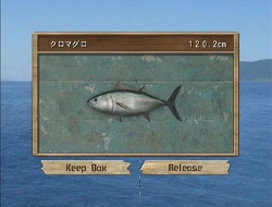 ������#004�Υ���ͥ���/�֥ե��å��奢�����ץݡ����륵���Ȥ������ץ󡣺ǿ���Υࡼ�ӡ���