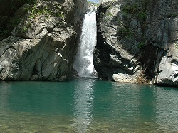 ������#005�Υ���ͥ���/�֥ե��å��奢�����ץݡ����륵���Ȥ������ץ󡣺ǿ���Υࡼ�ӡ���