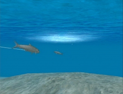 ������#002�Υ���ͥ���/�֥ե��å��奢����Wii�׸��������Ȥǥ֥����ѡ���/�ࡼ�ӡ��ۿ�����