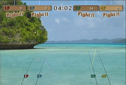 ������#002�Υ���ͥ���/�֥ե��å��奢����Wii�ױ�����Ĺ ʡ���²ĺڤ�����θ���ݡ��ȸ���