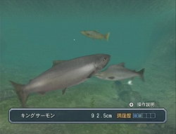 ������#002�Υ���ͥ���/�������缫����������������ʡ��֥ե��å��奢����Wii������ȯ��