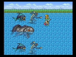 ꡼ No.030 | 20ǯ̴衤֥ץ꡼10ʤ򿶤֤롪