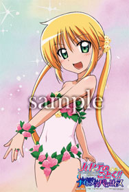 画像集#024のサムネイル/「ハヤテのごとく!! ナイトメアパラダイス」の店舗別購入特典が公開