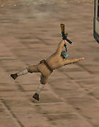 �ѥå�����