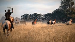 ꡼ No.006 | Red Dead RedemptionפȤʤ롤ʥꥫϰ򥹥꡼󥷥åȤ̤Ƴǧ褦