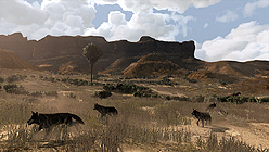 ꡼ No.004Υͥ / Red Dead Redemptionפ̤ȼɡꤲɤξ󤬸