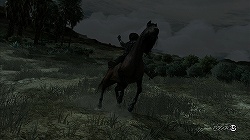 ꡼ No.013 | ץɥκüˤƺǹ֥åɡǥåɡǥץפΥӥ塼Ǻ