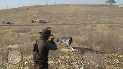 ꡼ No.021 | ֥åɡǥåɡǥץפϲ桼ĤǮäΤ2פȯľȤʤä֤äƤߤ