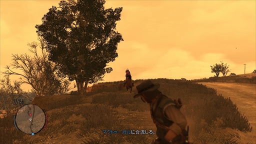 ꡼ No.044 | ֥åɡǥåɡǥץפϲ桼ĤǮäΤ2פȯľȤʤä֤äƤߤ