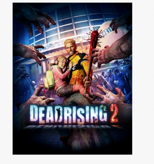 ꡼ No.001 | ȯޤࡤץ󥿥ȥθܡ饹Ƚ