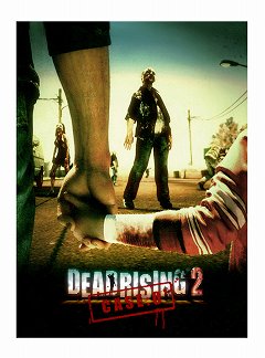 ꡼ No.016Υͥ / ֥ǥåɥ饤2轵ȯ䡪ۿΡCASE 0פͷԤơ