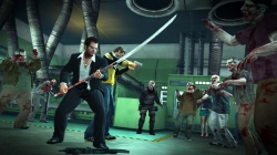 ꡼ No.014 | ե󥯸롣֥ǥåɥ饤2סCASE WESTɤ27ۿ