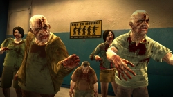 ꡼ No.020 | ե󥯸롣֥ǥåɥ饤2סCASE WESTɤ27ۿ