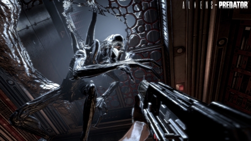 Gamescom 期待のfps Aliens Vs Predator の詳細がgamescomで明らかに