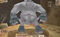 ꡼ No.005 | PR۹٥ˤʤȤڤ!?Grand Fantasia׾Ը󥸥ͻҤҲܺΥåץǡȷײäȤϤ