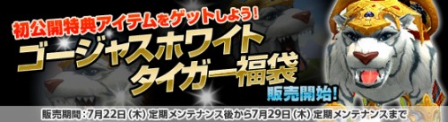 ���������꡼ No.002�Υ���ͥ������ / ��Grand Fantasia�פ���̩��ʬ���롩����ȯ�����󥿥ӥ塼�����