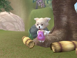 ���������꡼ No.004�Υ���ͥ������ / ��Grand Fantasia�ס���NineTailOnline�פȤ�Ϣ�ȥ����ƥ�����