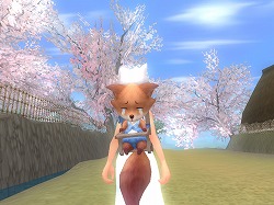 ���������꡼ No.005�Υ���ͥ������ / ��Grand Fantasia�ס���NineTailOnline�פȤ�Ϣ�ȥ����ƥ�����