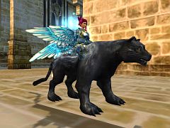 ꡼ No.004 | ֥ꥢCafeפؤ˥ꥢɤץ쥼