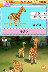 画像集#005のサムネイル/タイトー,NDS「みんなの動物園」を4月30日に発売