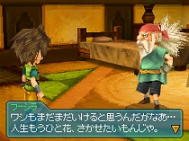 ꡼ No.028Υͥ / ȯΡ֥֥롼ɥ饴 ۳εá׺ǿ󡣥ƥơʸܤڤ⤦οȤ