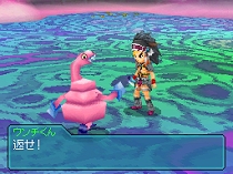 ꡼ No.087Υͥ / ȯΡ֥֥롼ɥ饴 ۳εá׺ǿ󡣥ƥơʸܤڤ⤦οȤ