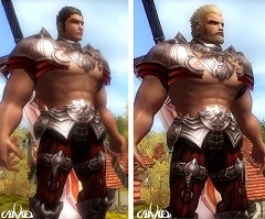 画像集#011のサムネイル/プレイヤーの行動次第でキャラの外見が変化するMMORPG「CANHEL」,韓国でまもなくCBT開始