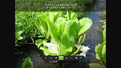 画像ギャラリー No.004のサムネイル画像 / Xbox LIVE，Facebook＆Twitterに対応。コミュニティ機能を強化