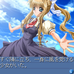 ꡼ No.014Υͥ / ͷ⡪֥ץȥסե󴶼եǡ2010פ530˳