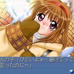 ꡼ No.015Υͥ / ͷ⡪֥ץȥסե󴶼եǡ2010פ530˳