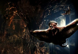 ꡼ No.011Υͥ / WiiSFۥ顼塼ƥ󥰡֥ǥåɥڡ ȥ饯פȯ101˷