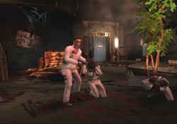 ꡼ No.004 | ȯΥۥ顼֥ǥåɥڡ ȥ饯סǿץ⡼ࡼӡ