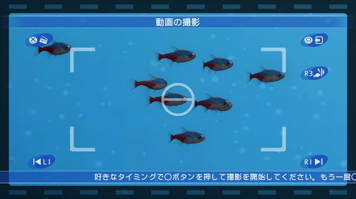 ꡼ No.004 | ֥֥롼֡סPS3о졣ۿ