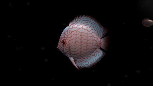 ꡼ No.005 | ֥֥롼֡סPS3о졣ۿ