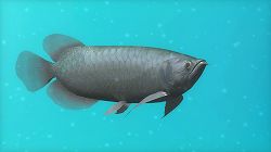 ꡼ No.006 | ֥֥롼֡סPS3о졣ۿ