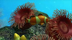 ꡼ No.007 | ֥֥롼֡סPS3о졣ۿ